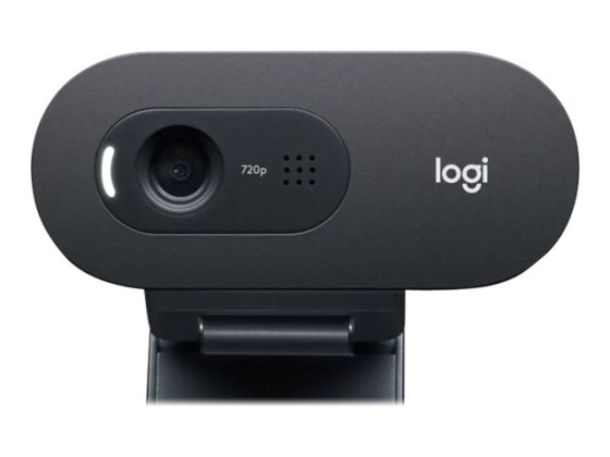 Logitech C505e - WEBCAM