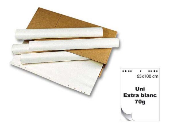 1 Carton de 5 Recharges unies extra-blanc - 70 g