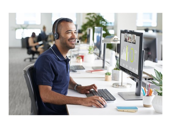 Logitech C505e - WEBCAM