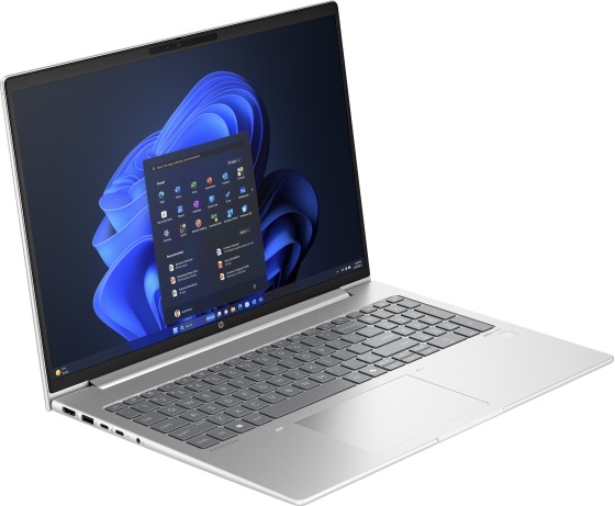 HP ProBook 460 G11 Intel Core Ultra 5 125U Ordinateur portable 40,6 cm (16") WUXGA 16 Go DDR5-SDRAM 512 Go SSD Wi-Fi 6E (802.11ax) Windows 11 Pro Argent