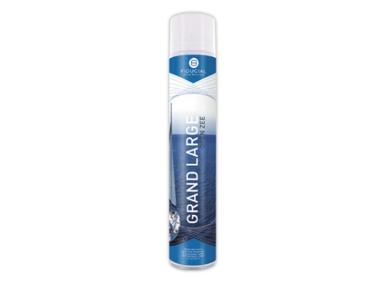 1 Désodorisant FIDUCIAL parfum grand large - 750 ml