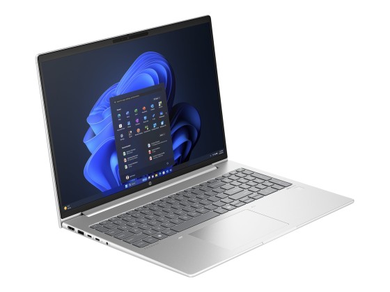 HP ProBook 460 G11 Intel Core Ultra 5 125U Ordinateur portable 40,6 cm (16") WUXGA 16 Go DDR5-SDRAM 512 Go SSD Wi-Fi 6E (802.11ax) Windows 11 Pro Argent