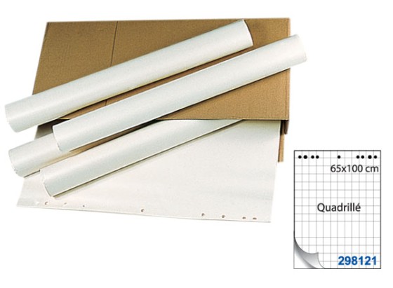 1 Carton de 5 Recharges quadrillées - 60 g