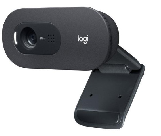 Logitech C505e - WEBCAM