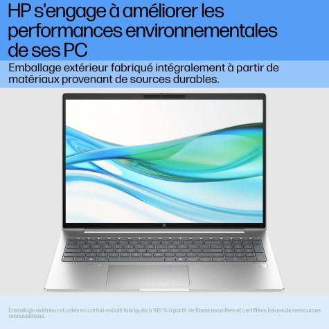 HP ProBook 460 G11 Intel Core Ultra 5 125U Ordinateur portable 40,6 cm (16") WUXGA 16 Go DDR5-SDRAM 512 Go SSD Wi-Fi 6E (802.11ax) Windows 11 Pro Argent
