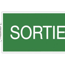 1 Panneau adhésif Sortie 20 cm - Vert