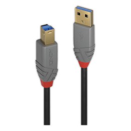 1 Câble USB 2.0 Type A mâle / B mâle long 1m. LINDY