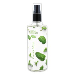 1 Vaporisateur Fresh mint 125ml