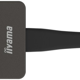 iiyama WP D002C connecteur de télévision intelligent USB 4K Ultra HD Noir, Argent