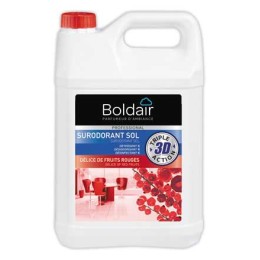 1 Bidon de nettoyant désinfectant surodorant Boldair - 5 litres