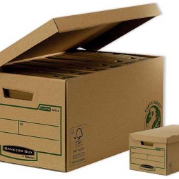 1 Carton de 10 Containers pour boites à archives ouverture sur le dessus Earth series