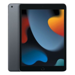 1 Tablette iPad 9 10,2" 64 Go - reconditionné