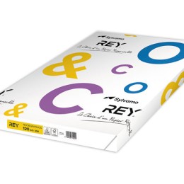 1 Ramette de 250 feuilles de papier blanc Text and Graphics  A3 120G