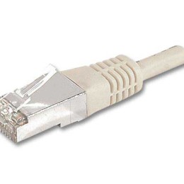 1 Câble réseau RJ45 10M CAT6A Gris