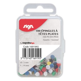 1 Blister de 100 Épingles de signalisation - Coloris assortis
